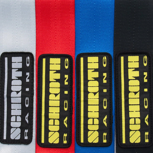 Schroth Profi II ASM FE 4pt Harness for Lotus Emira