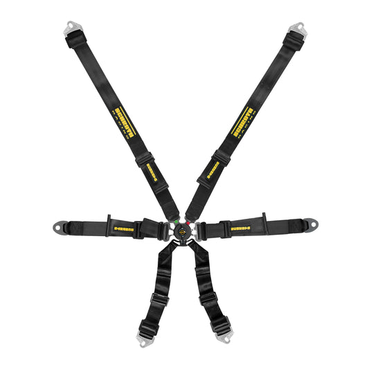 Schroth Profi II 6H Harness